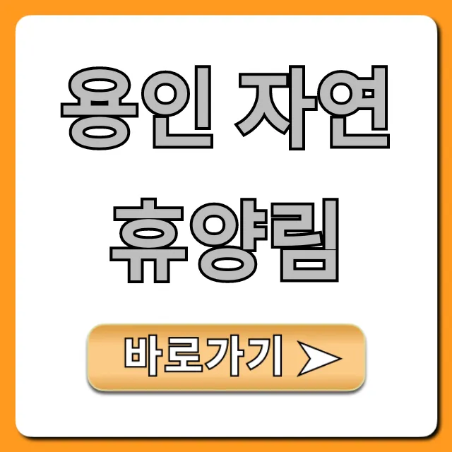 용인 자연휴양림 완벽 가이드: 예약, 시설, 가격 총정리 용인 자연휴양림 완벽 가이드: 예약, 시설, 가격 총정리