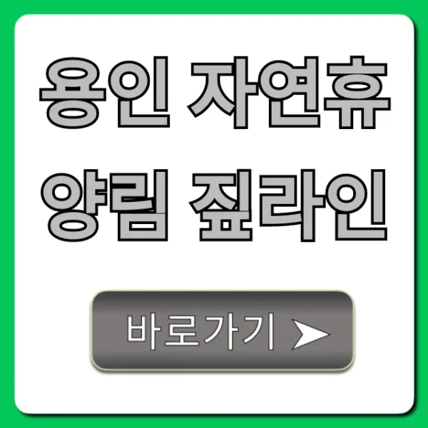 용인 자연휴양림 짚라인: 가격, 예약, 꿀팁 총정리