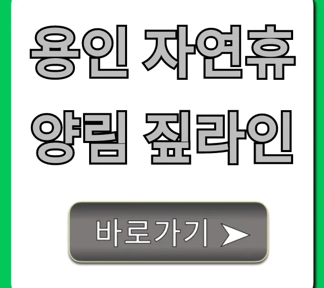 용인 자연휴양림 짚라인: 가격, 예약, 꿀팁 총정리