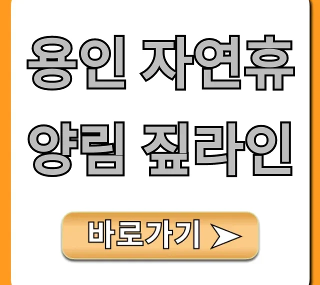 용인 자연휴양림 짚라인 완벽 가이드! 가격 예약까지