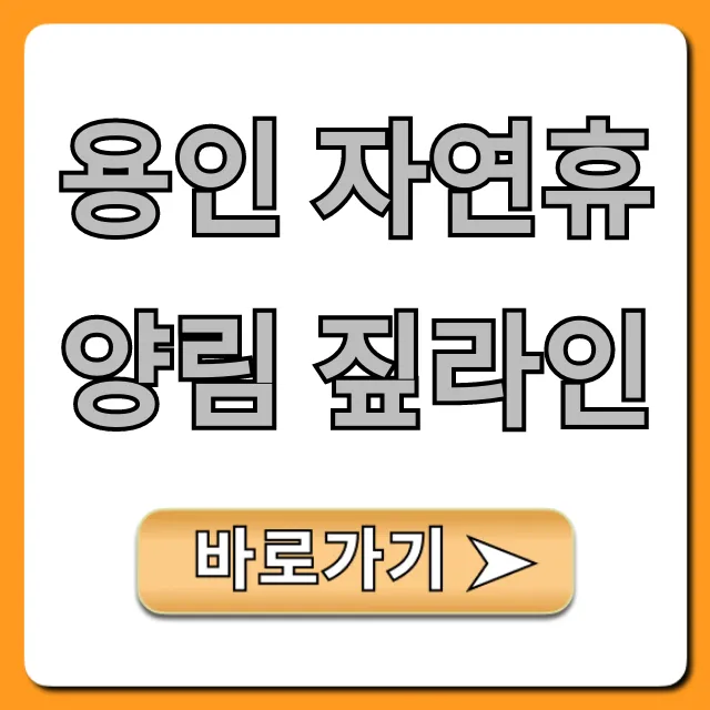 용인 자연휴양림 짚라인 완벽 가이드! 가격 예약까지