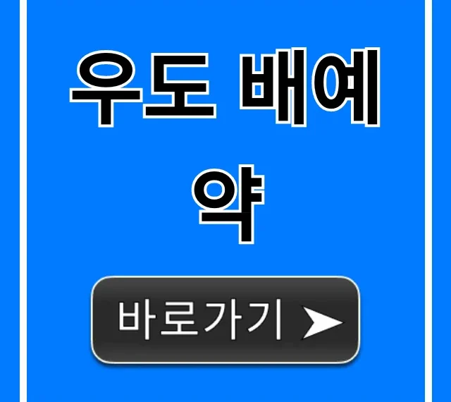우도 배예약 가격, 실시간 조회 방법 총정리