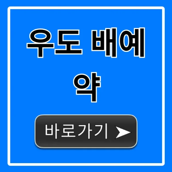 우도 배예약: 꿀팁 & 최저가 총정리