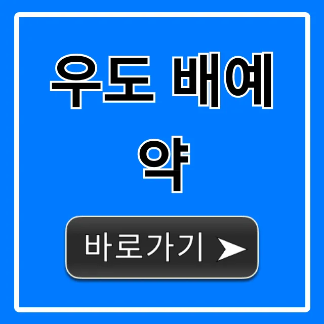 우도 배예약: 꿀팁 & 최저가 총정리