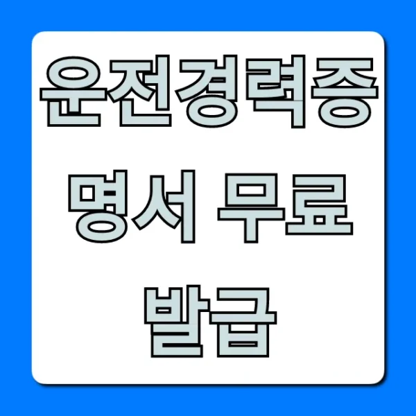 운전경력증명서 무료 발급: 정부24 온라인 완벽 가이드