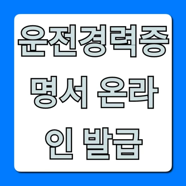 운전경력증명서 온라인 발급 완벽 가이드 (조회 및 출력)