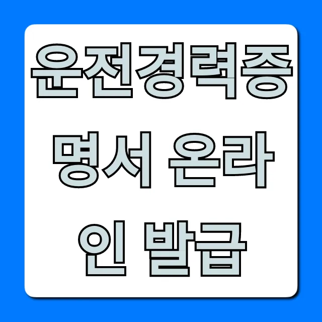 운전경력증명서 온라인 발급 완벽 가이드 (조회 및 출력) 운전경력증명서 온라인 발급 완벽 가이드 (조회 및 출력)