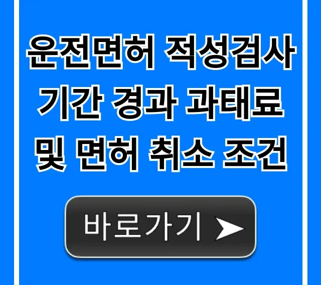 운전면허 적성검사 기간 경과 과태료 면허 취소 조건 조회