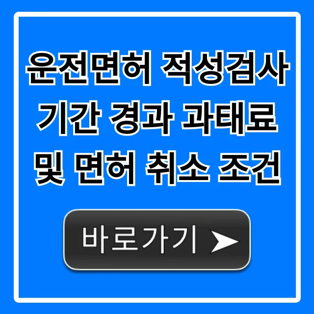 운전면허 적성검사 기간 경과 과태료 면허 취소 조건 조회