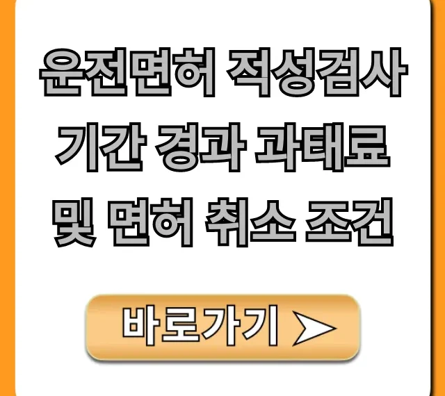 운전면허 적성검사 기간 경과 과태료 및 면허 취소 조건?