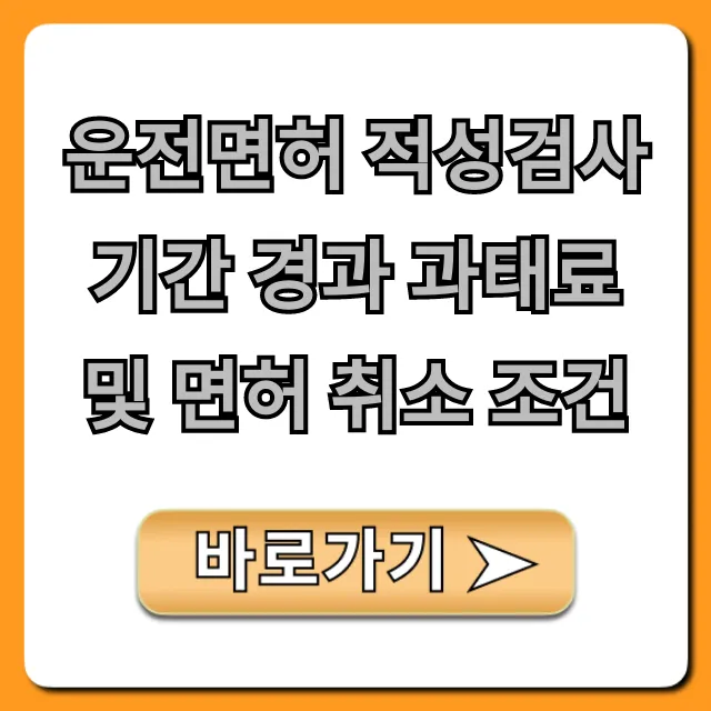 운전면허 적성검사 기간 경과 과태료 및 면허 취소 조건?