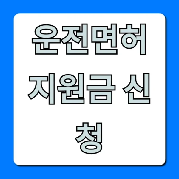 운전면허 지원금 신청: 청년 최대 혜택 총정리