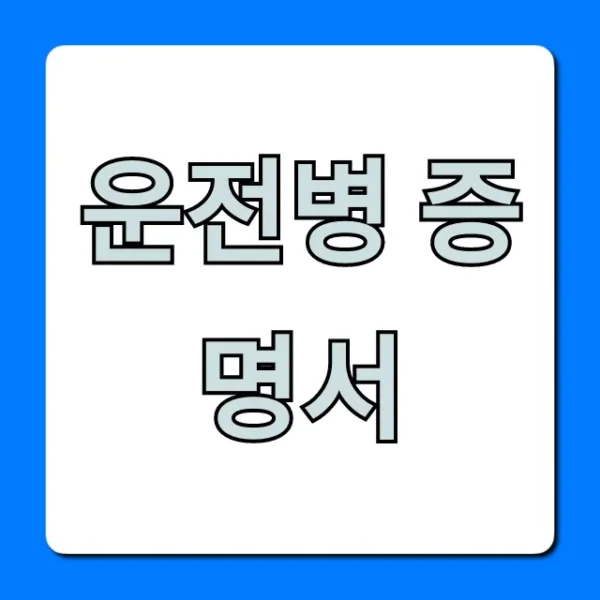 운전병 증명서 발급 방법: 온라인 조회부터 총정리!