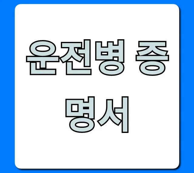 운전병 증명서 인터넷 조회 및 발급 총정리