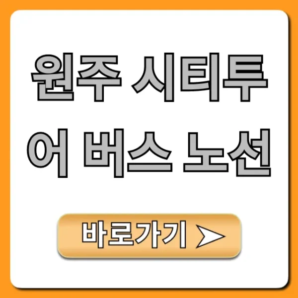 원주 시티투어 버스 노선: 완벽 코스, 가격 총정리