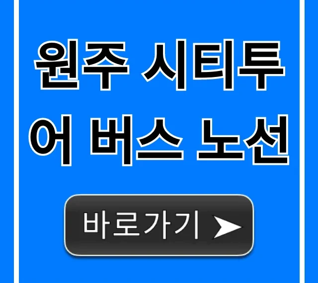 원주 시티투어 버스 노선: 완벽 코스 & 시간표 총정리