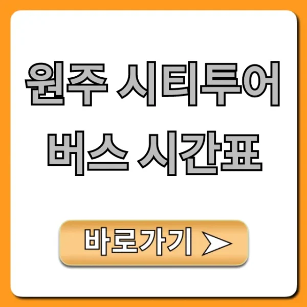 원주 시티투어 버스 시간표 코스 총정리