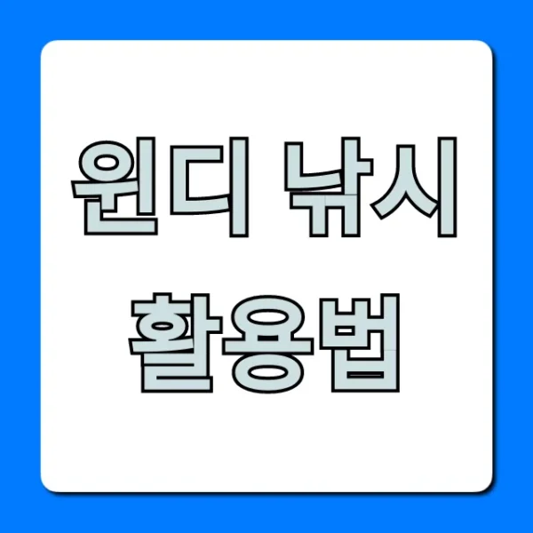 윈디 낚시 활용법: 초보도 조과 올리는 꿀팁 총정리