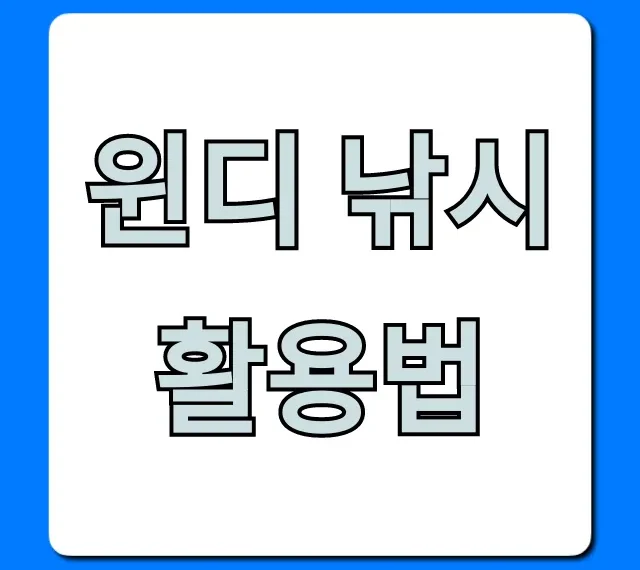 윈디 낚시 활용법: 초보도 조과 올리는 꿀팁 총정리