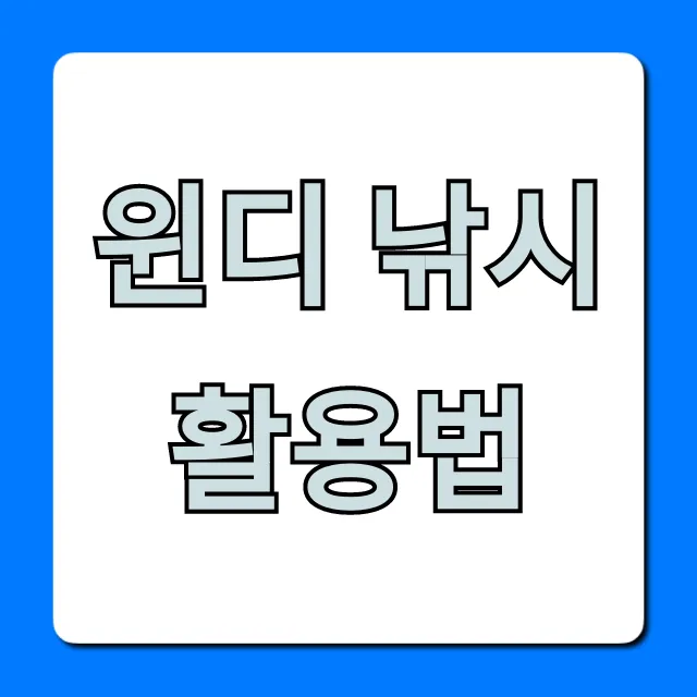윈디 낚시 활용법: 초보도 조과 올리는 꿀팁 총정리