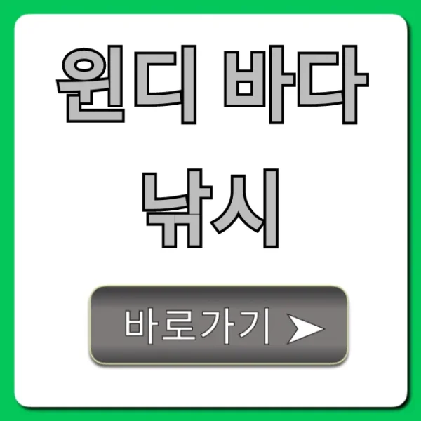 윈디 바다 낚시 예약, 조과, 비용 A to Z