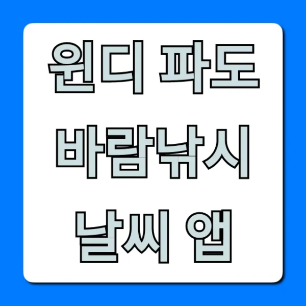 윈디 파도 바람낚시 날씨 앱: 필승 조황 비법 총정리