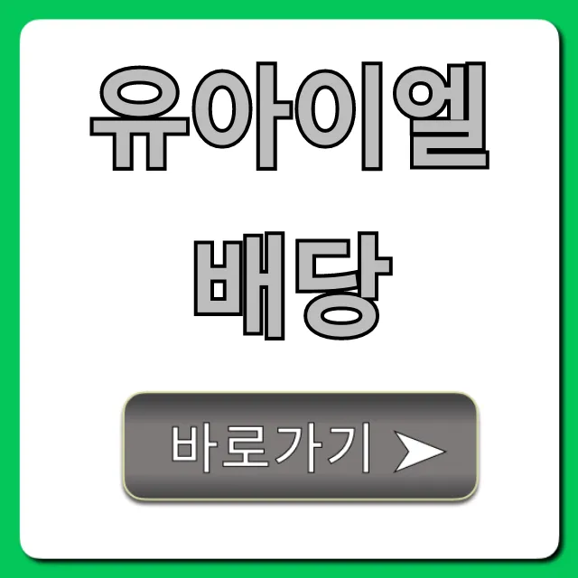 유아이엘배당 2024년 배당금 총정리 유아이엘배당 2024년 배당금 총정리