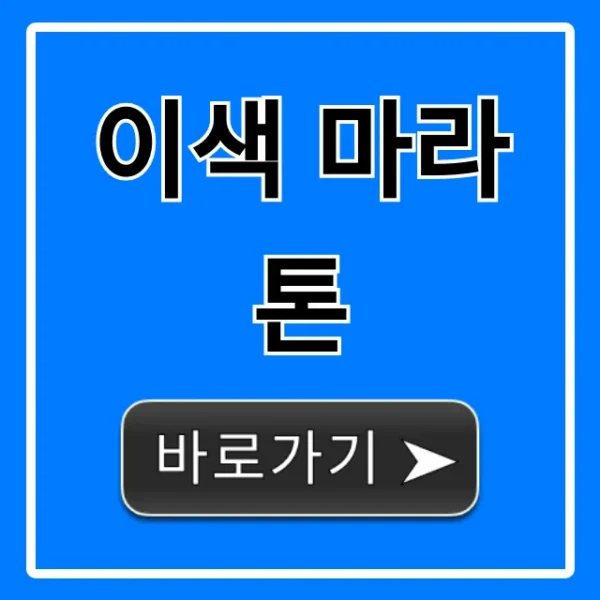 이색 마라톤 2024 BEST 추천 총정리