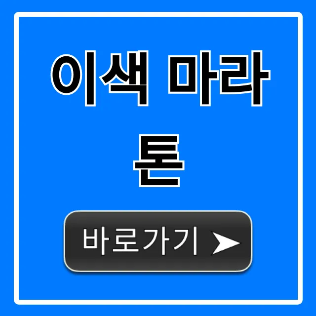 이색 마라톤 2024년 완벽 총정리