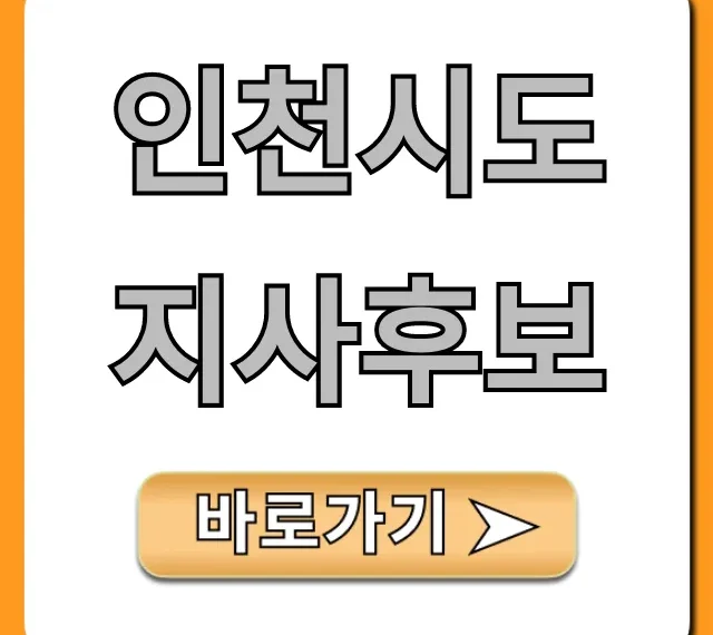 인천시도지사후보, 핵심 공약 총정리