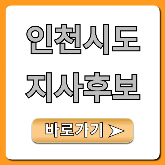 인천시도지사후보, 핵심 공약 총정리