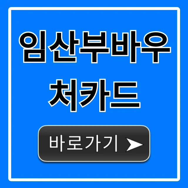 임산부바우처카드 신청방법 혜택 완벽가이드