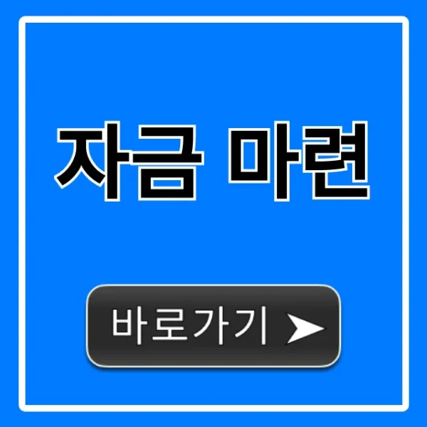 자금 마련, 무조건 성공하는 정부지원 총정리