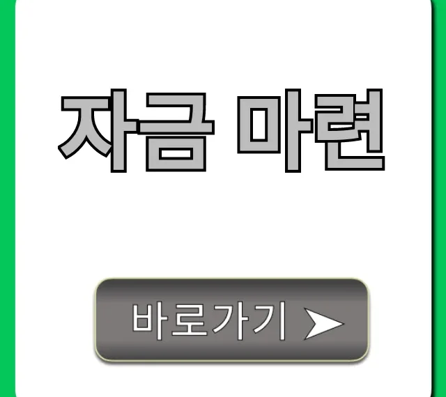 자금 마련: 정부 지원금 꿀팁 총정리