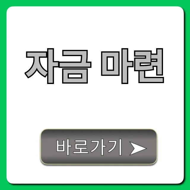 자금 마련: 정부 지원금 꿀팁 총정리 자금 마련: 정부 지원금 꿀팁 총정리