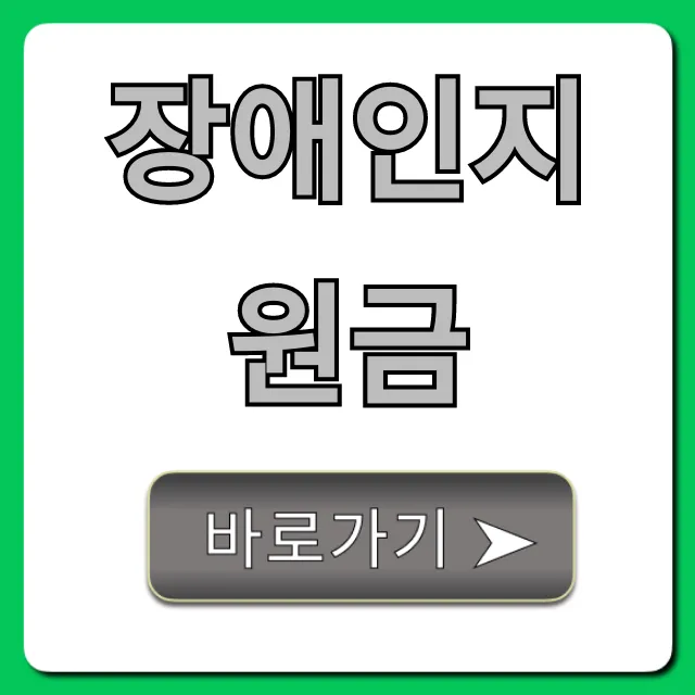 장애인지원금: 2024년 자격, 종류, 신청 완벽 가이드 장애인지원금: 2024년 자격, 종류, 신청 완벽 가이드