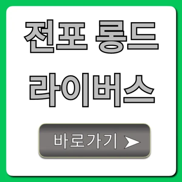 전포 롱드라이버스: 가격, 후기, 신청 방법 총정리