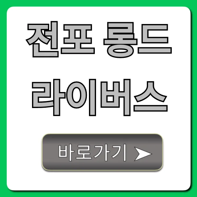 전포 롱드라이버스: 가격, 후기, 신청 방법 총정리