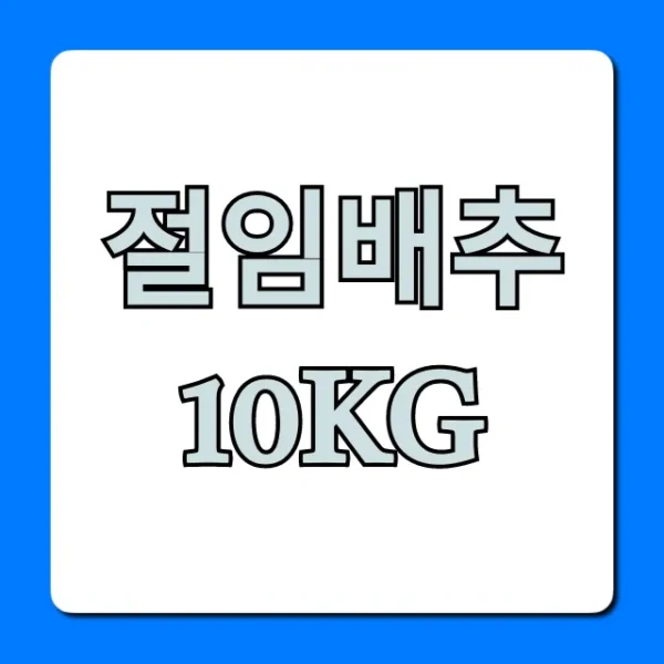 절임배추 10kg 가격비교! 최저가 구매 꿀팁