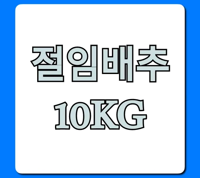절임배추 10kg 가격비교! 최저가 구매 꿀팁 절임배추 10kg 가격비교! 최저가 구매 꿀팁