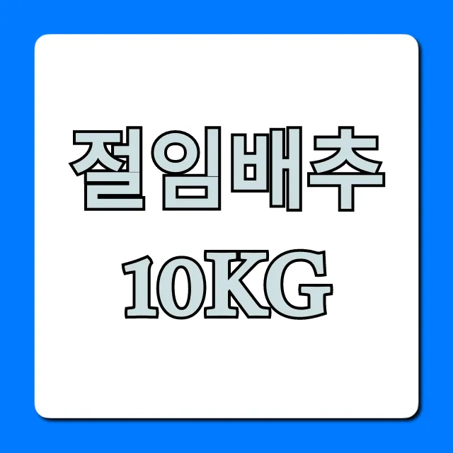 절임배추 10kg 가격비교! 최저가 구매 꿀팁