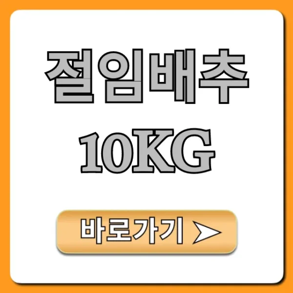 절임배추 10kg 실패 없는 김장 꿀팁 총정리