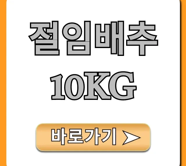 절임배추 10kg 실패 없는 김장 꿀팁 총정리