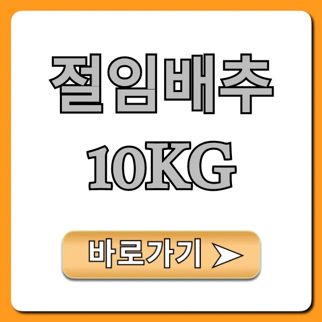 절임배추 10kg 실패 없는 김장 꿀팁 총정리 절임배추 10kg 실패 없는 김장 꿀팁 총정리