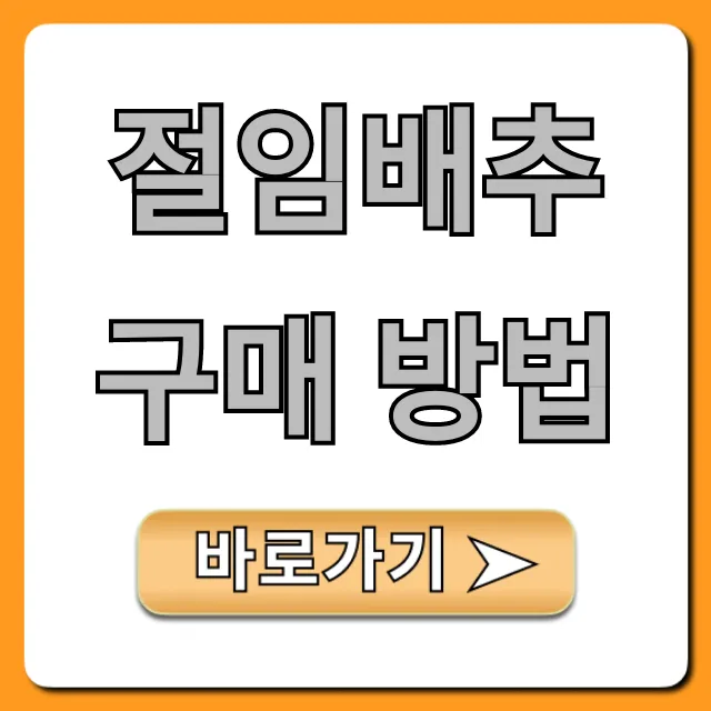 절임배추 구매 방법, 김장 성공 꿀팁 총정리 절임배추 구매 방법, 김장 성공 꿀팁 총정리