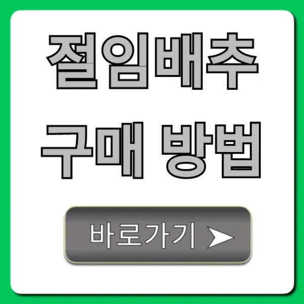 절임배추 구매 방법, 실패 없는 가격 꿀팁!