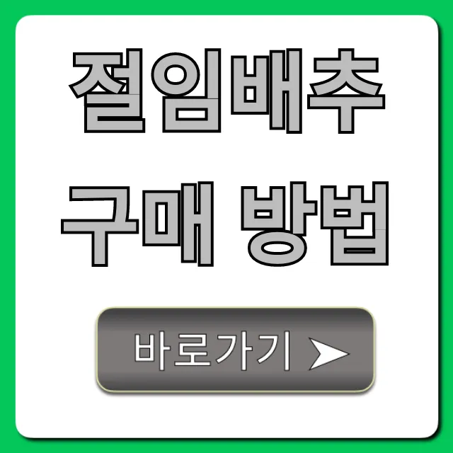 절임배추 구매 방법, 실패 없는 가격 꿀팁!