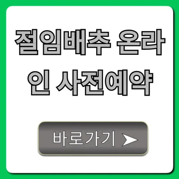 절임배추 온라인 사전예약: 김장 할인 꿀팁 총정리
