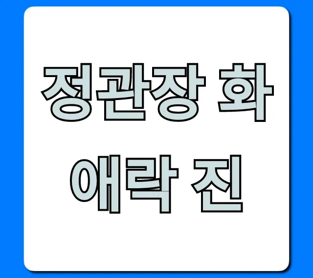 정관장 화애락 진 가격 효능 후기 완벽 가이드