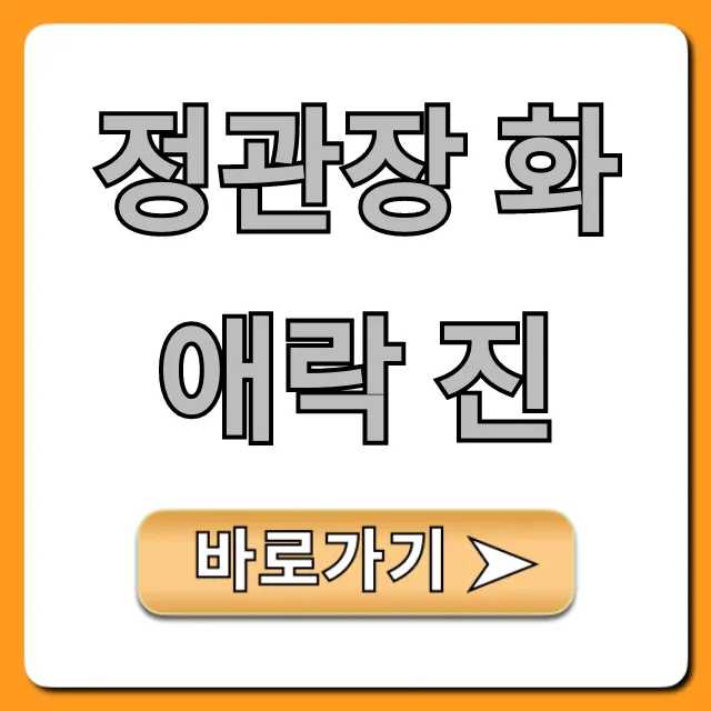 정관장 화애락 진 효능 후기 가격 완벽 분석 정관장 화애락 진 효능 후기 가격 완벽 분석